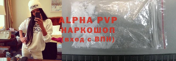 PSILOCYBIN Корсаков