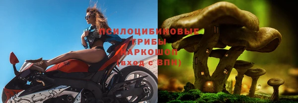 гашик Абдулино