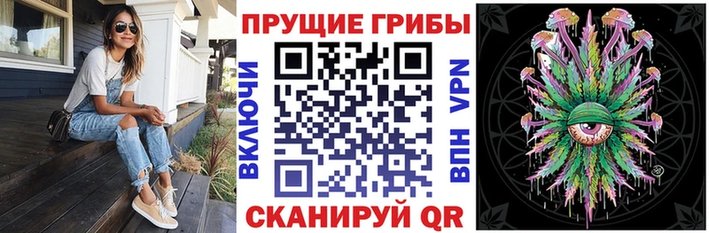 купить наркотик  Магадан  Псилоцибиновые грибы GOLDEN TEACHER 
